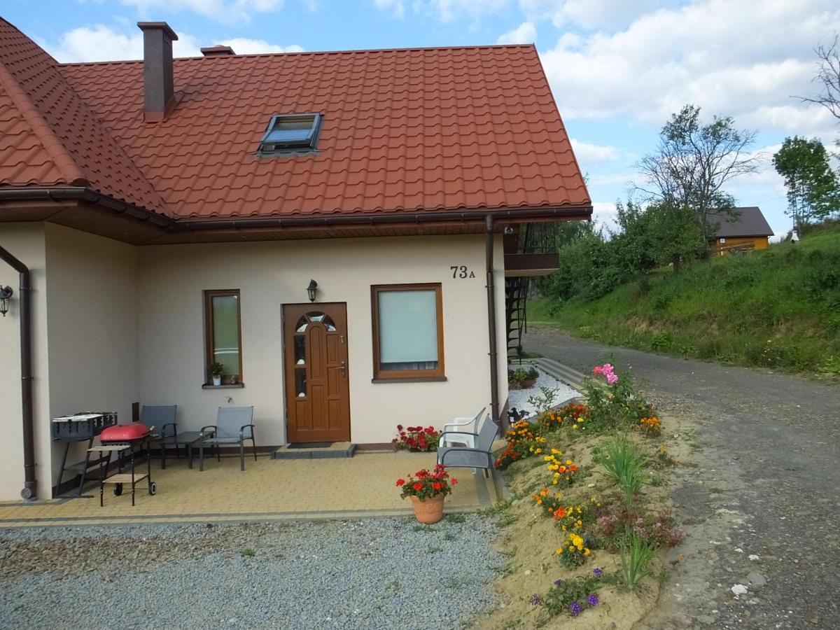 Pensjonat Na Zielonym Wzgorzu Zawoz Luaran gambar